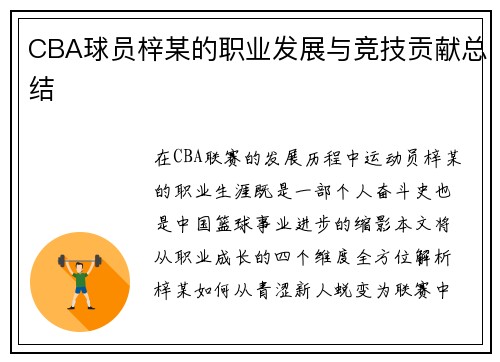 CBA球员梓某的职业发展与竞技贡献总结